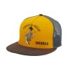 Accessories DHaRCO | Flat Brim Trucker | Chills